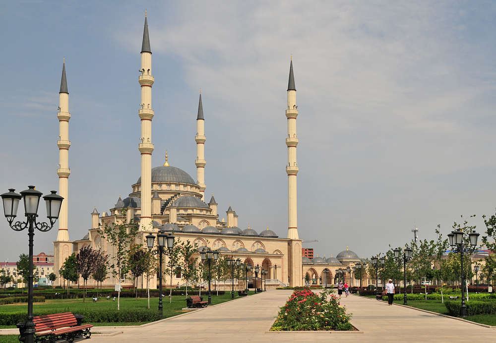 pic-8.jpg